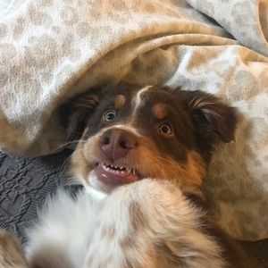 Meet your Posher, Angie